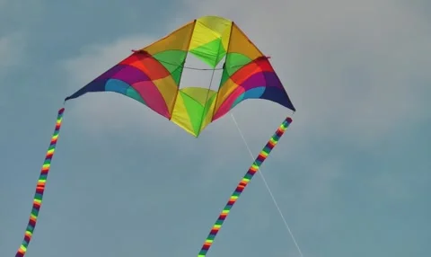 Conyne Delta Kite Stock Footage 167971074
