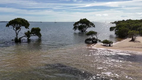 Coochiemudlo Beach Hover 5 Stock Footage 291845698