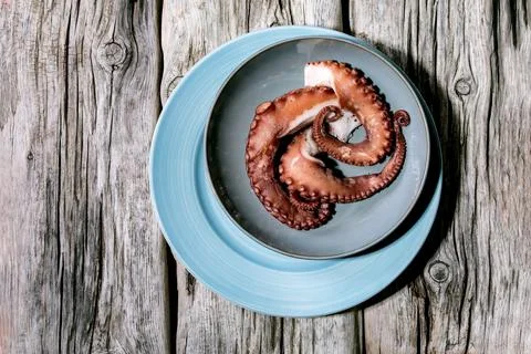 Coocked tentacles of octopus on ceramic plate Stock Photos