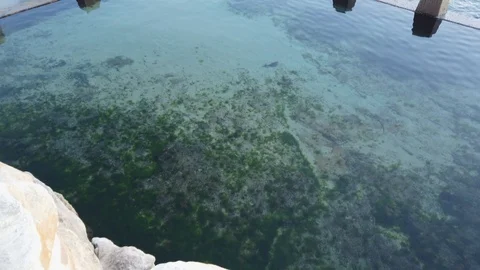 Coogee Beach Stock Footage 114676354