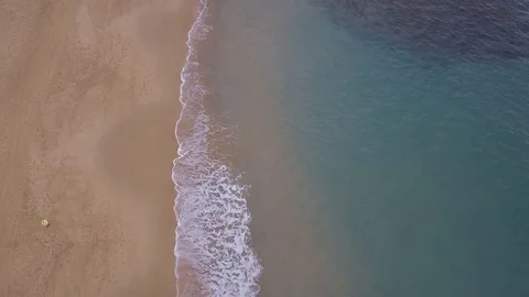 Coogee Coastline Video stock 77818689