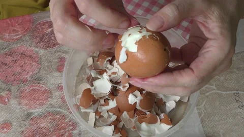 A cook cleans a boiled chicken egg with his hands Video stock 156671446