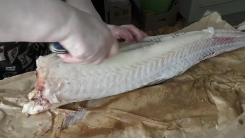 Cook cleans raw cod fish Stock Footage 171986056