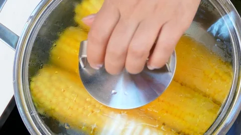 Cook corn in a saucepan Stock Footage 84301794