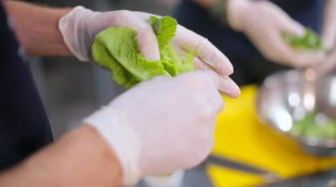 Cook cut up a lettuce Stock Footage 67863286