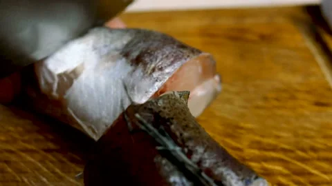 Cook cuts carcass of hake or pollock fish. Stock Footage 154355704