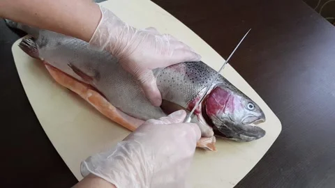 The cook cuts up fresh raw trout fish. prepare a fish dish Stock Footage 171224277