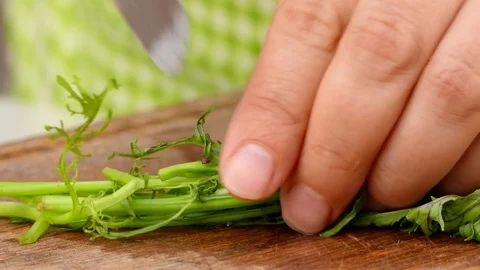 The cook cuts the leaves of the arugula Stock Footage 84477036