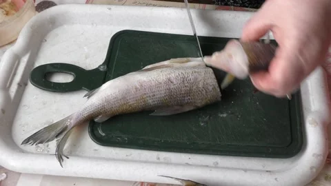 The cook cuts raw fish into pieces Stock Footage 164901432