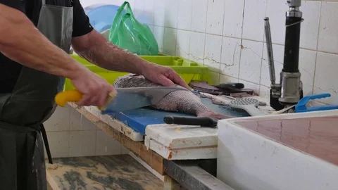 Cook cuts red fish. Cleaning cutting fresh fish into fillets using knife. Stock Footage 81628184