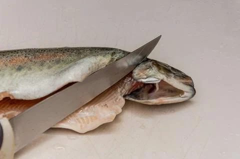 Cook cuts trout fish on a cutting board Stock Photos