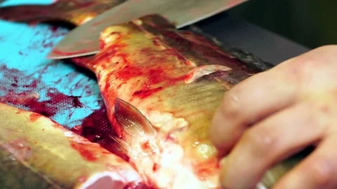 The cook is cutting the fish close-up. Carp of tilapia. 스톡 동영상 81761765