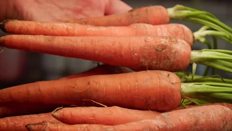 Cook dropping carrots for cooking Stock Footage 158368028