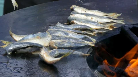 Cook fish on open fire in barbecue Stock-Footage 85084257