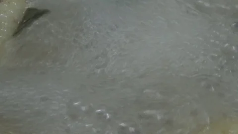 Cook fish on the stove 스톡 동영상 72555140