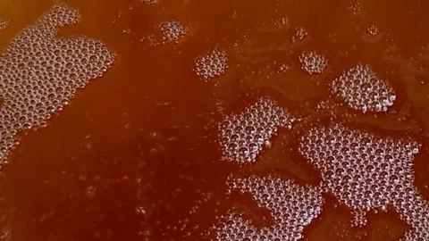 COOK 動画素材 220194304