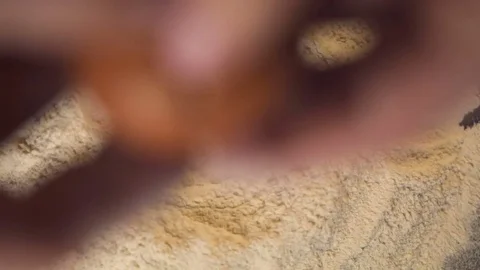 Cook hands throw an egg on a pile of flour . Slow motion 스톡 동영상 74356850