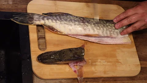 A cook in the kitchen cleaning and cutting fish Stock Footage 274466261