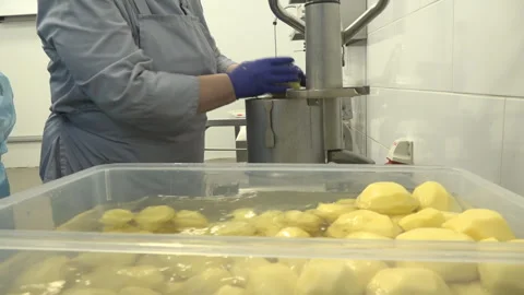 The cook loads washed potatoes into a vegetable cutter Stock Footage 310885849