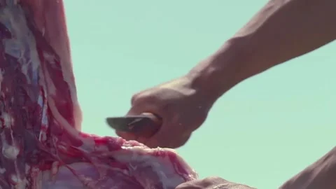 Cook mutton Stock Footage 308227773