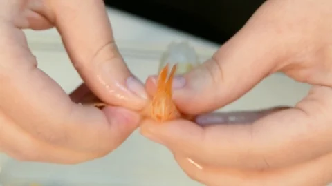 Cook Peeling Cooked Prawns Stock Footage 77860567
