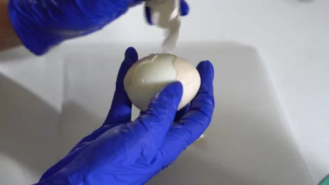 A cook peels a boiled egg from its shell Stock Footage 300486274