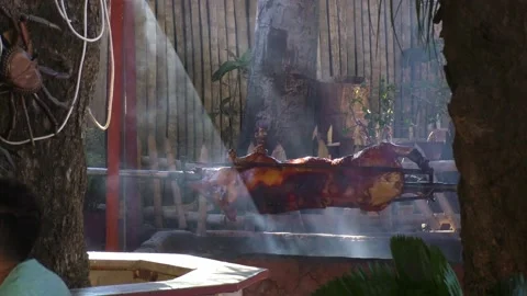 Cook a Pig on a Spit Video stock 173340084