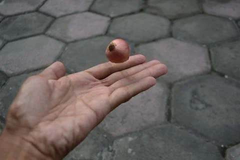 Cook preparation, cooking vegetables Stock Photos