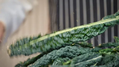 The cook prepares Tuscan cabbage cale nero, cavolo nero, Lacinato kale. Stock Footage 305387417