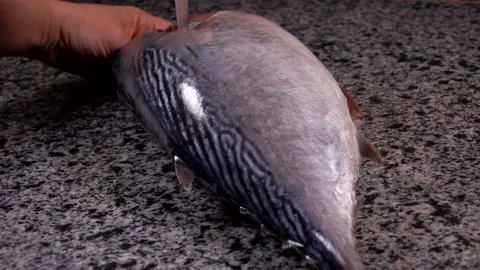 Cook is preparing the first cut of raw tuna Stock Footage 105378406