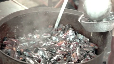 Cook preparing mussel in the shells on grill. Street food festival. Stock Footage 51171962
