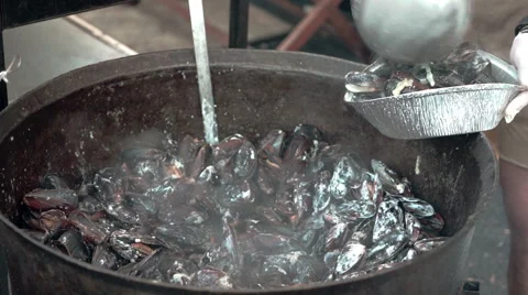 Cook preparing mussel in the shells on grill. Street food festival. Stock Footage 51173819