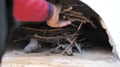 The cook puts firewood in the to light a fire in the hearthstone Stock Footage 125447067