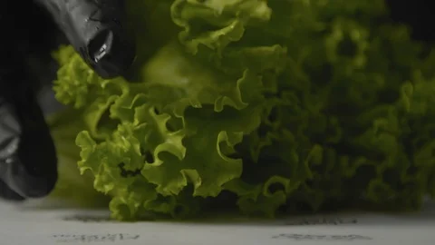 Cook puts greens on the table Stock Footage 102510395