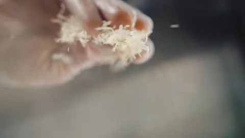 Cook puts his hands on the cheese on the pizza Stock Footage 149976794