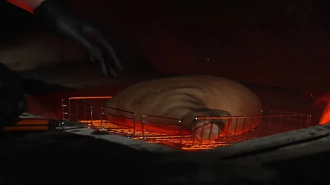 The cook puts the meat on the grill for roasting on the fire Stock Footage 247190209