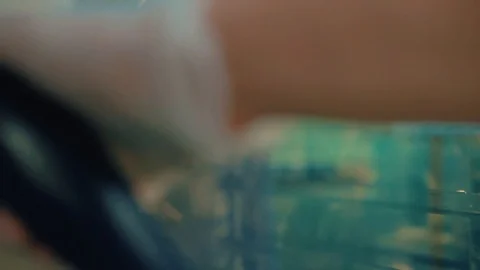 Cook puts the meat wrapped in foil in oven. Stock-Footage 104936711