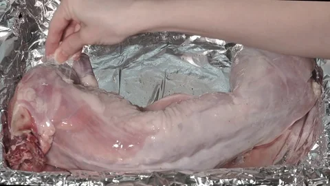 Cook the rabbit Stock Footage 73602027