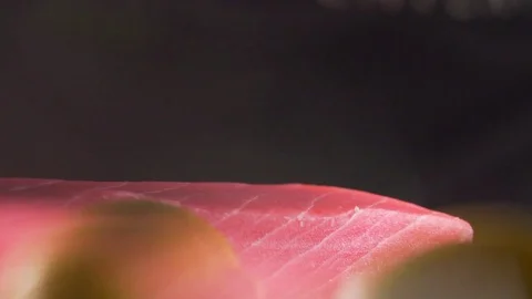 Cook red fish Stock Footage 83346153