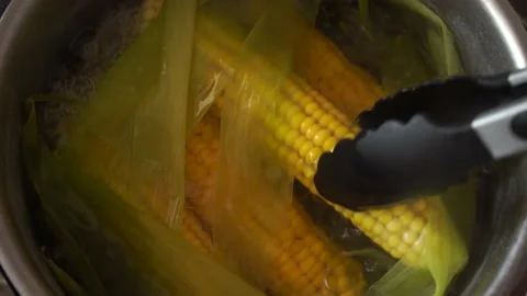 Cook ripe sweet corn in a boiling water Stock Footage 134624069