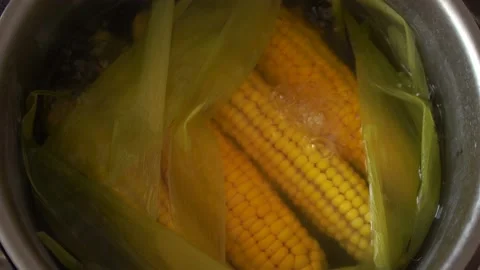 Cook ripe sweet corn in a boiling water Stock Footage 134624071