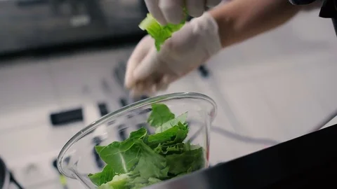 Cook rips fresh cabbage leaves. Stock Footage