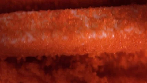 Cook rolls roll in caviar Stock Footage 124210590