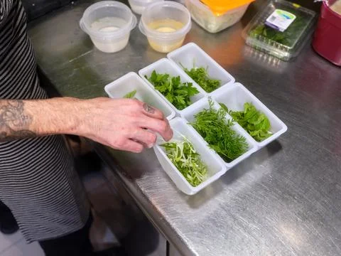 Cook selecting aromatic herbs from a plastic organizer in a kitchen Stock Photos
