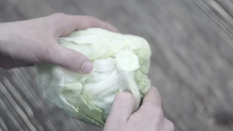 The cook tears off cabbage leaves from the head. Video stock 106631758
