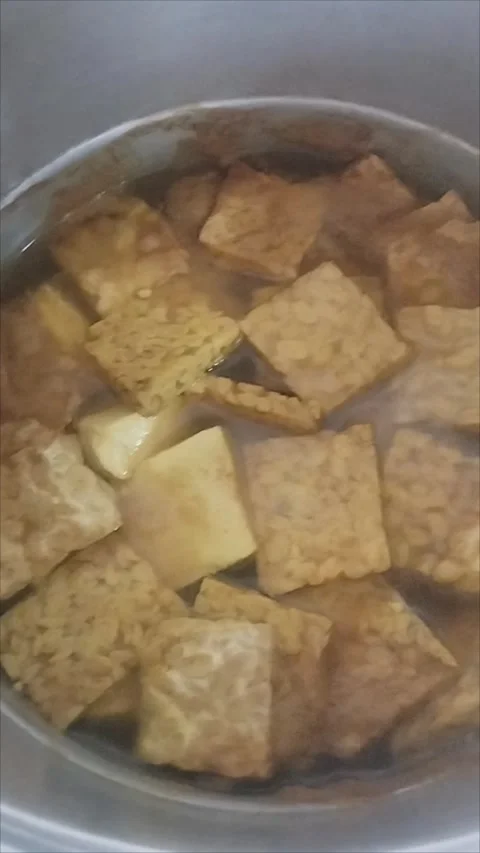 Cook tofu and tempeh using marinade Stock Footage 291210487