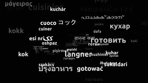 Cook Translated in 68 Worldwide Languages Endless Looping 3d Zooming Wordclou Stock Footage 145231223