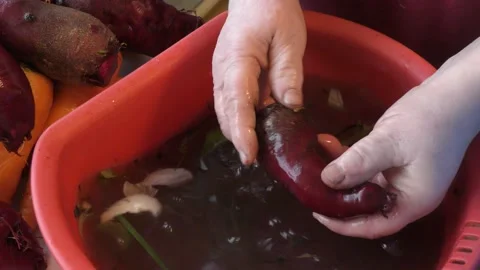 The cook washes the beets. healthy food concept Video stock 168505053
