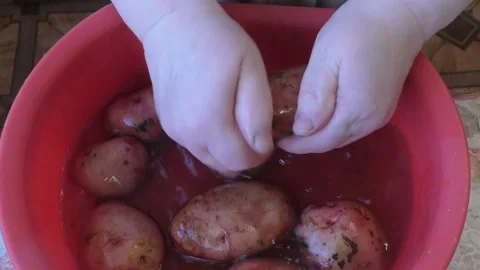 The cook washes potatoes in water Stock Footage 164283349
