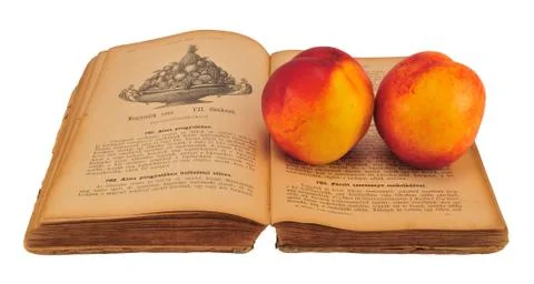 Cookbook with nectarine Stock Photos